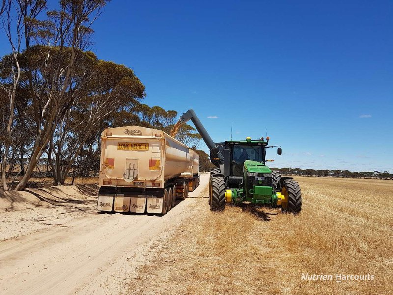 Photo - . Waitavalo Farms , Narembeen WA 6369 - Image 14