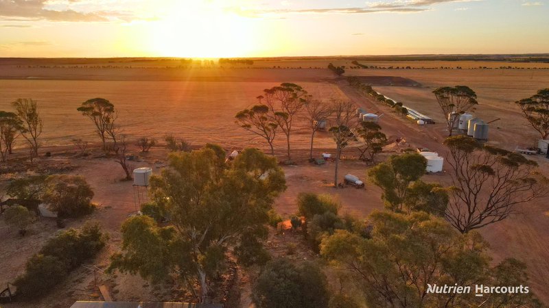 Photo - . Waitavalo Farms , Narembeen WA 6369 - Image 16