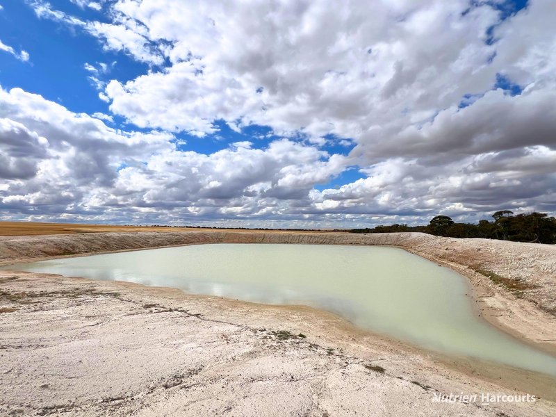 Photo - . Waitavalo Farms , Narembeen WA 6369 - Image 20