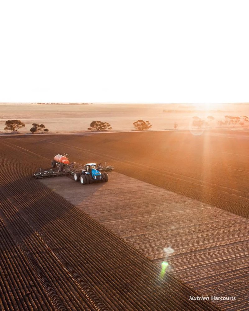 Photo - . Waitavalo Farms , Narembeen WA 6369 - Image 26