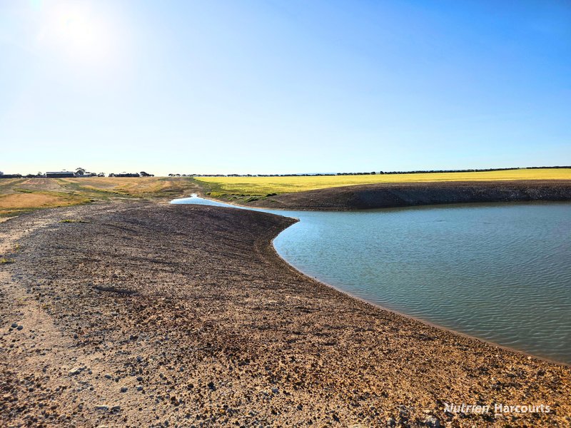 Photo - . Waitavalo Farms , Narembeen WA 6369 - Image 28