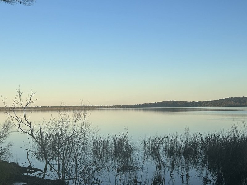 Photo - Wallagoot NSW 2550 - Image 4