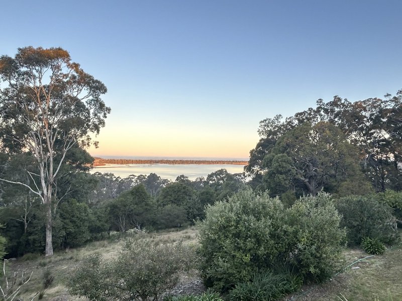 Photo - Wallagoot NSW 2550 - Image 7