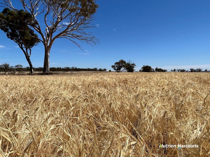 . 'Wallatin' , Doodlakine WA 6411