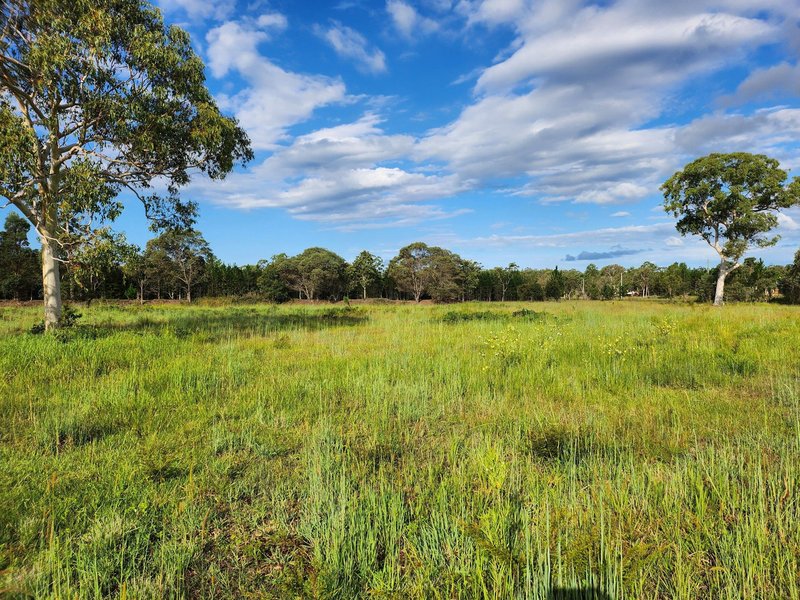 Photo - Wamuran QLD 4512 - Image 8