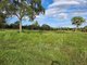 Photo - Wamuran QLD 4512 - Image 10