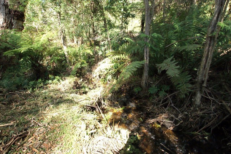 Photo - Warburton VIC 3799 - Image 7