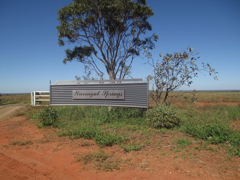 Photo - 'Warragul The Range Road, Roma QLD 4455 - Image 14