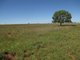 Photo - 'Warragul The Range Road, Roma QLD 4455 - Image 19