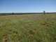 Photo - 'Warragul The Range Road, Roma QLD 4455 - Image 20