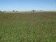 Photo - 'Warragul The Range Road, Roma QLD 4455 - Image 24