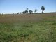 Photo - 'Warragul The Range Road, Roma QLD 4455 - Image 25