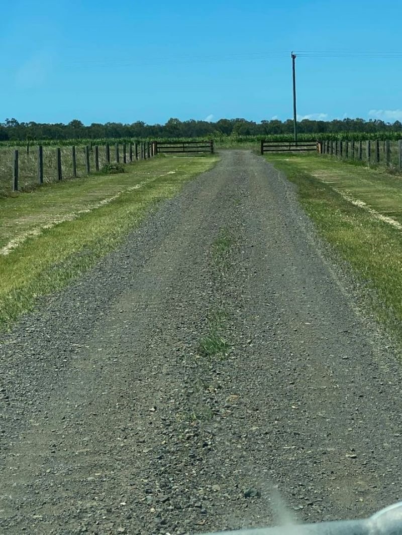 Photo - Welcome Creek QLD 4670 - Image 14