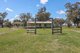 Photo - 'Weroona' Willans Lane, Tamworth NSW 2340 - Image 16