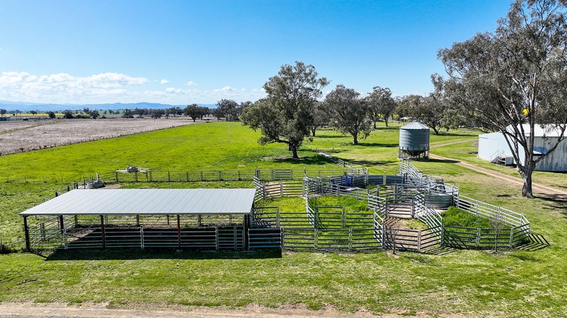 Photo - 'Weroona' Willans Lane, Tamworth NSW 2340 - Image 18