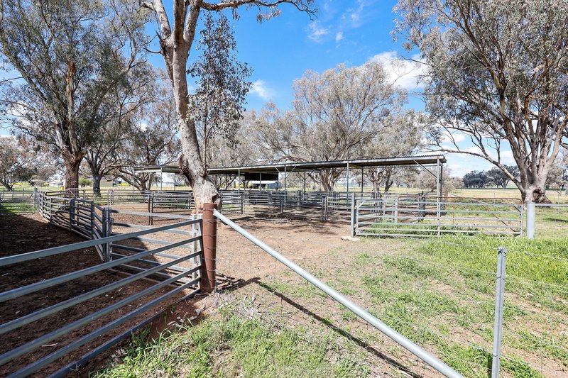 Photo - 'Weroona' Willans Lane, Tamworth NSW 2340 - Image 22