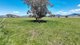 Photo - 'Weroona' Willans Lane, Tamworth NSW 2340 - Image 26