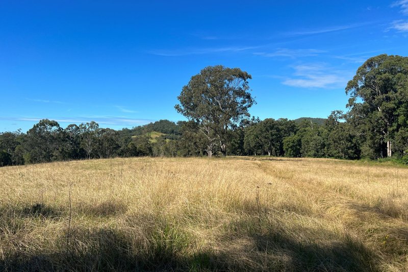 Photo - Wherrol Flat NSW 2429 - Image 9