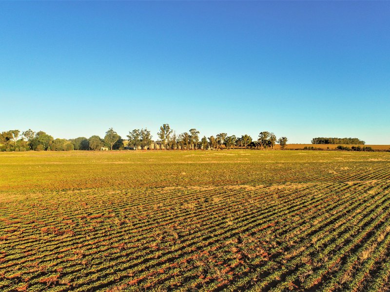 Photo - 'Whiterock Kingaroy Cooyar Road, Kingaroy QLD 4610 - Image 9