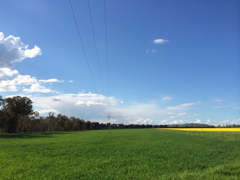 Photo - "Whitewood" Glen Logan Road, Cowra NSW 2794 - Image 6