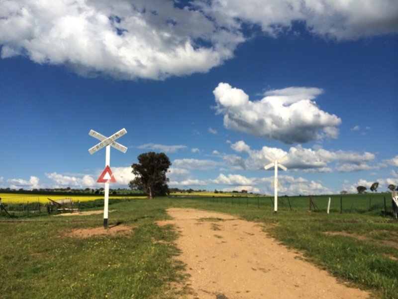 Photo - "Whitewood" Glen Logan Road, Cowra NSW 2794 - Image 14