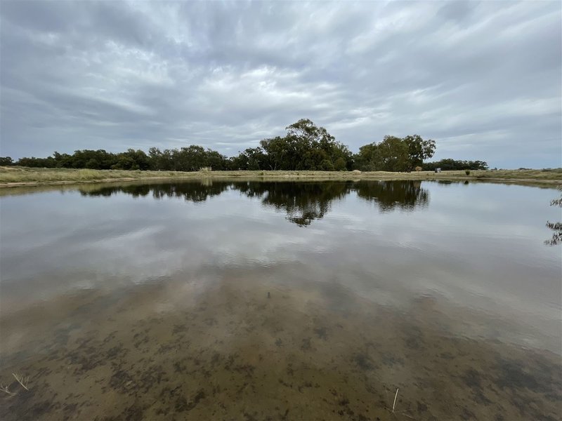 Photo - . Wide Lane, Lockhart NSW 2656 - Image 2