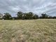 Photo - . Wide Lane, Lockhart NSW 2656 - Image 4