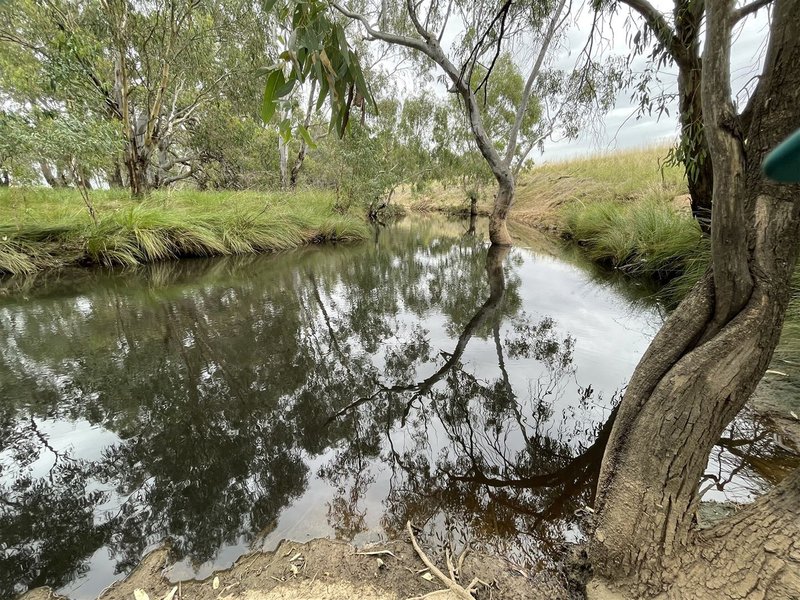 Photo - . Wide Lane, Lockhart NSW 2656 - Image 10