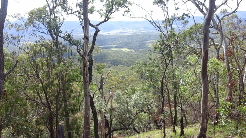 Photo - ' Wilderness Retreat' 1531 Left Hand Branch Road, Thornton QLD 4341 - Image 3