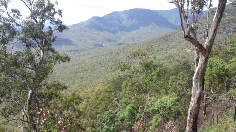 Photo - ' Wilderness Retreat' 1531 Left Hand Branch Road, Thornton QLD 4341 - Image 4