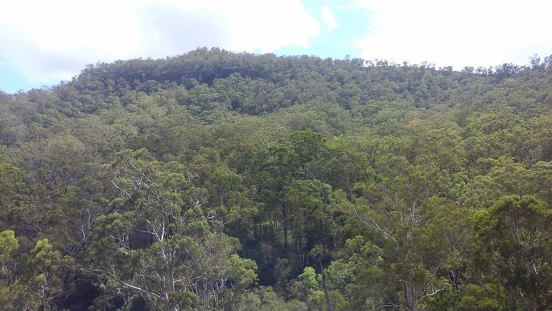 Photo - ' Wilderness Retreat' 1531 Left Hand Branch Road, Thornton QLD 4341 - Image 8