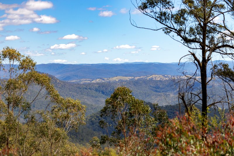 Photo - 'Wilds' Enfield Range Road, Cells River NSW 2424 - Image 1