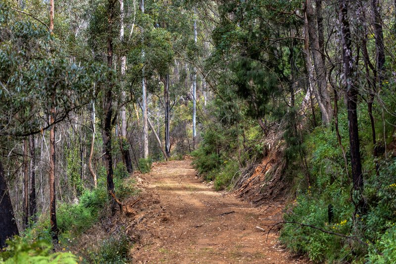 Photo - 'Wilds' Enfield Range Road, Cells River NSW 2424 - Image 8