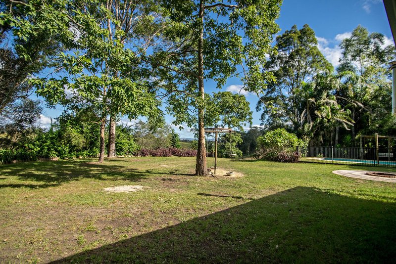 Photo - Wingham NSW 2429 - Image 8