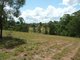 Photo - Wingham NSW 2429 - Image 1