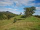 Photo - Wingham NSW 2429 - Image 18