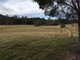 Photo - Wingham NSW 2429 - Image 10