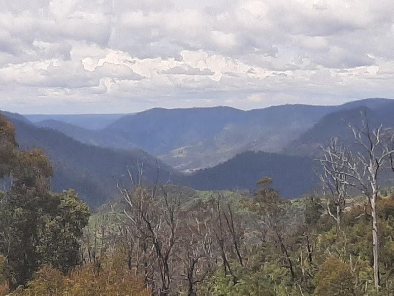 Wombeyan Caves NSW 2580