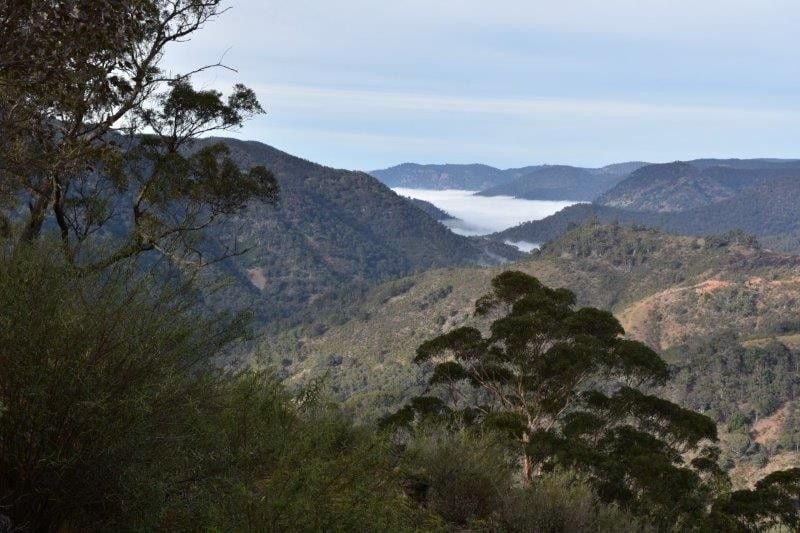 Photo - Wombeyan Caves NSW 2580 - Image 2