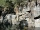 Photo - Wombeyan Caves NSW 2580 - Image 5