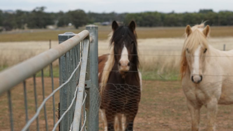 Photo - 'Woodlands' 208 Back Yamma Road, Parkes NSW 2870 - Image 31