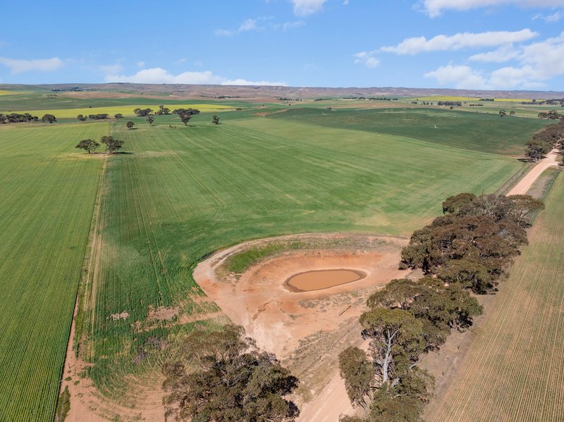 Photo - 'Wurinya' Hansborough Road, Buchanan SA 5374 - Image 9