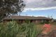 Photo - 'YAAMA' 583 River Road, Coonabarabran NSW 2357 - Image 3