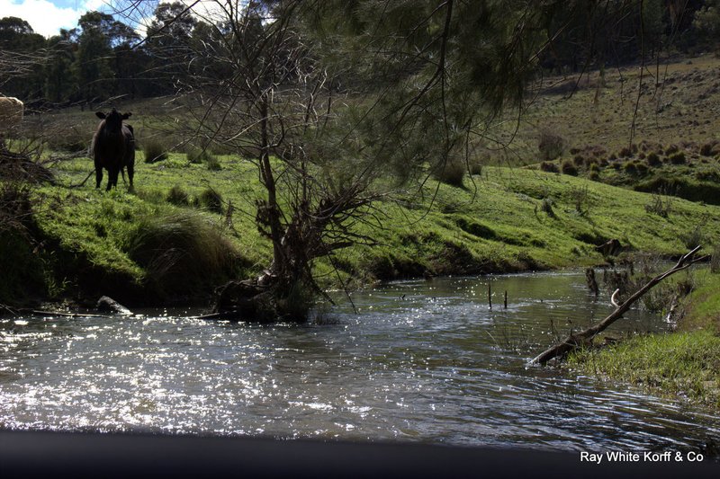 Photo - 'YAAMA' 583 River Road, Coonabarabran NSW 2357 - Image 20