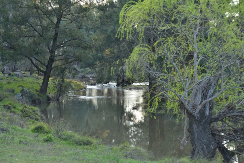 Photo - 'YAAMA' 583 River Road, Coonabarabran NSW 2357 - Image 22