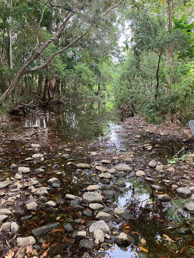 Photo - Yalboroo QLD 4741 - Image 5