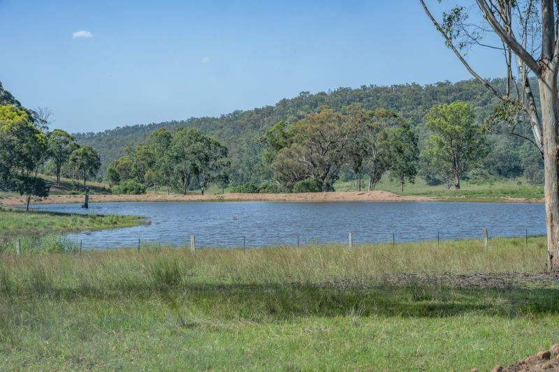 Photo - Yarrawa NSW 2328 - Image 4