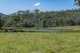 Photo - Yarrawa NSW 2328 - Image 15