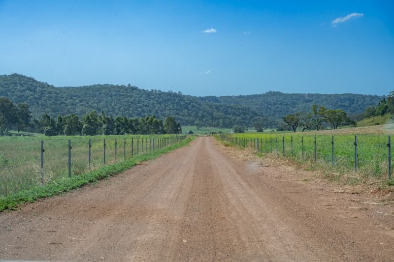 Photo - Yarrawa NSW 2328 - Image 16