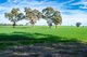 Photo - . Yarrawonga Berrigan Road, Mulwala NSW 2647 - Image 8